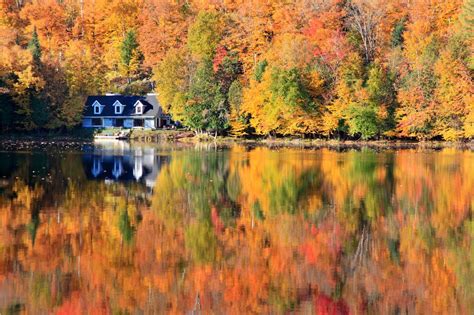 I 5 Migliori Luoghi Al Mondo Per Ammirare Il Foliage Viaggi Di Alegio