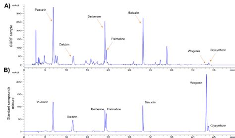 High Performance Liquid Chromatography HPLC Fingerprinting Analysis