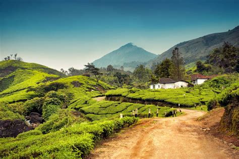 Munnar Tour Packages Discover The Serene Landscapes Of Keralas Hill