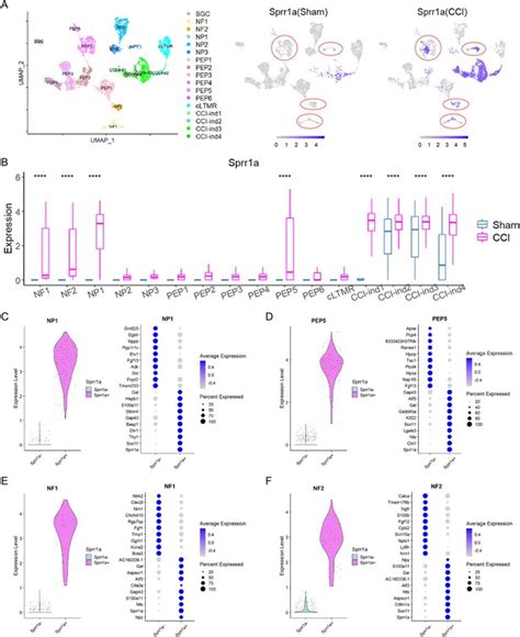 Figures And Data In Scrna Sequencing Reveals Subtype Specific