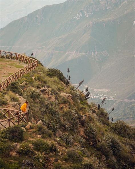 Cómo Llegar al Cañón del Colca Blog Viagens Machu Picchu