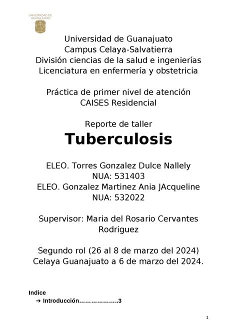 Taller de Tuberculosis Prevención Diagnóstico y Tratamiento Guías