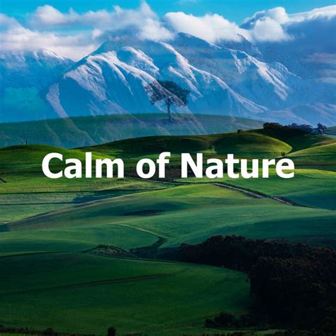 Calm Of Nature Album By Kings Of Nature Spotify