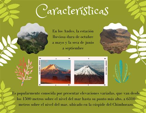 Sierra características flora y fauna PPT