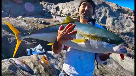 The Best Land Based Fishing For Kingfish Off The Rocks Youtube