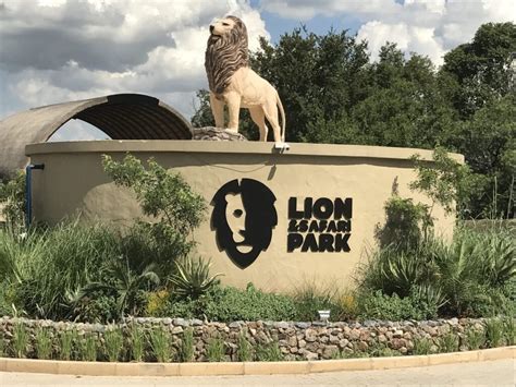 Lion park Johannesburg – Entrance Fee