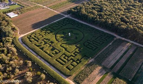 Best Corn Mazes Near NYC: Mazes for Kids & Haunted Mazes