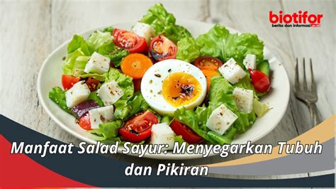 Manfaat Salad Sayur Menyegarkan Tubuh Dan Pikiran Biotifor