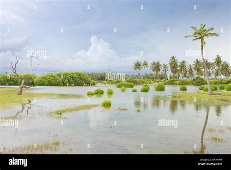 Kalpitiya lagoon hi-res stock photography and images - Alamy