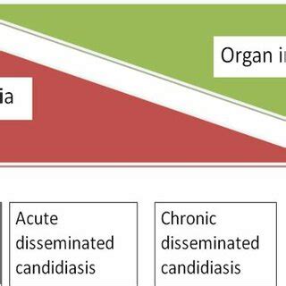 Candidaemia -clinical spectrum. | Download Scientific Diagram