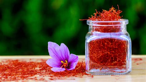 Learn How To Grow Saffron Indoors