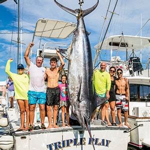 Bermuda World Record Blue Marlin Marlin