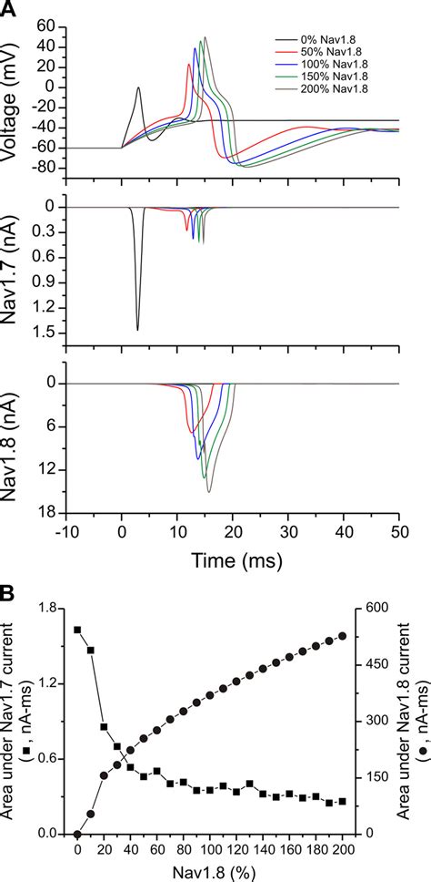 Aps Evoked By Suprathreshold Current Injection A Aps In Model Neuron