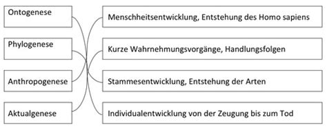 01 Einführung in Entwicklungspsychologie Flashcards Quizlet