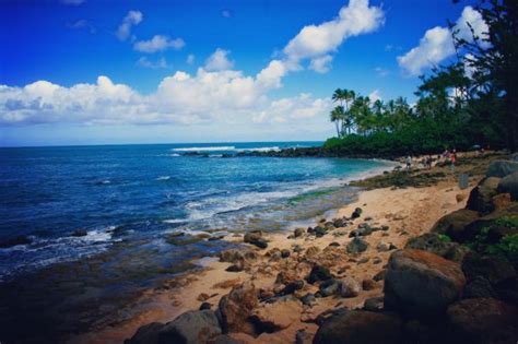 Laniakea Beach Haleiwa Updated 2021 All You Need To Know Before You