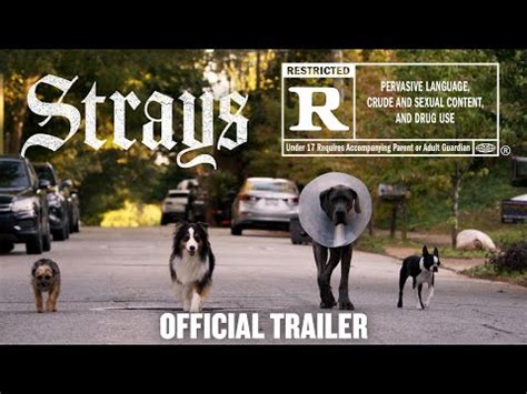 Strays | Movie Site & Trailer | August 18, 2023