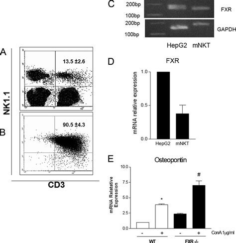 Fxr Expression And Opn Regulation In Liver Derived Nkt Cells A And B