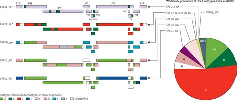 Tracking A Century Of Global Expansion And Evolution Of HIV To Drive