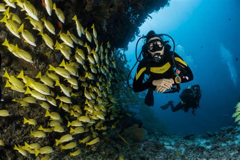 Arraial do Cabo Diving Introduction - Book Online at Civitatis.com