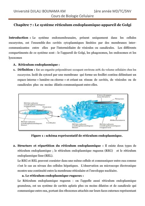 Biologie Cellulaire Cours Karim Cours De Biologie Cellulaire