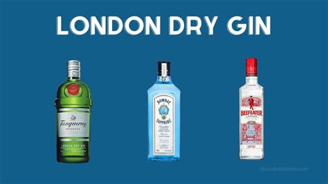 Conheça os 8 principais tipos de gin que existem no mundo Descubra