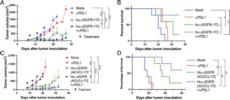 Tumor Targeted Delivery Of A Sting Agonist Improves Cancer