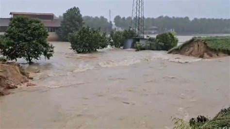 Maltempo Veneto Esonda Fiume Muson Allagamenti E Disagi