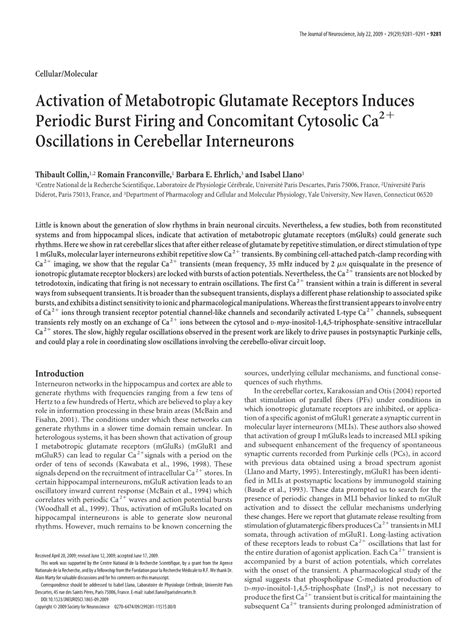 Activation Of Metabotropic Glutamate Receptors Induces Periodic Burst