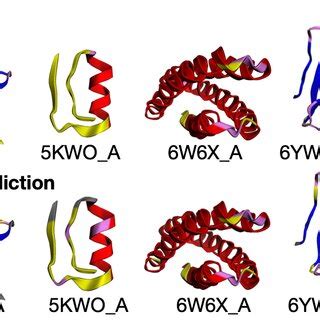 Contact Prediction Of Rsa And Msa Transformer On De Novo Proteins We