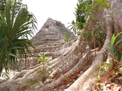 Archaeologists Begin Recovery Of Ancient Mayan City In Mexico