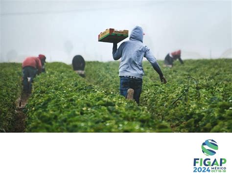 EXPO PECUARIA B B DE AMÉRICA LATINA El sector agropecuario tiene un papel de gran importancia