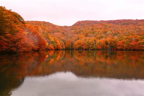 【東北】一度は見ておきたい♡美しい紅葉が見られるスポット10選 Imatabi（イマタビ）