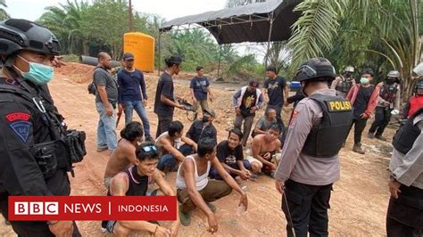 Konflik Sawit Dan Penembakan Berujung Kematian Warga Di Seruyan Akar