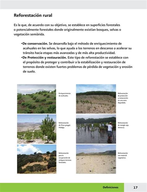 Manual Practicas De Reforestacion Pdf