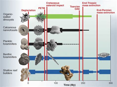 The Geological Record Of Ocean Acidification Science