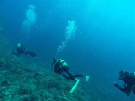 Banco De Imagens Natureza Encontro Lazer Fran A Embaixo Da Agua