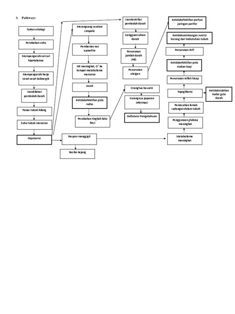 Pathways Hipotermi Pdf