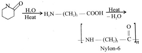 Polymers Long Answer Type Questions High Target