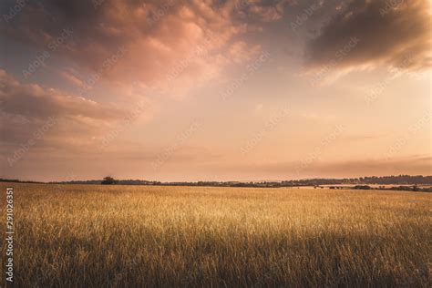 Golden Hour Sunset With Hay Field Under Clouds In Gloucestershire Stock