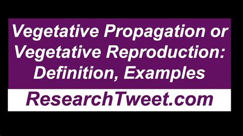 Vegetative Propagation Know The Definition Types More Embibe The Best Porn Website