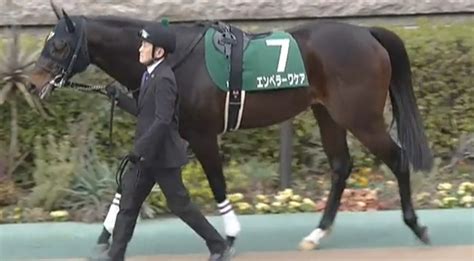 根岸ステークス＆シルクロードステークス2024結果 競馬で生活する僕は