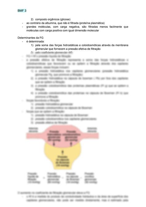 Solution Filtrac A O Glomerular Fluxo Sangui Neo Renal Studypool