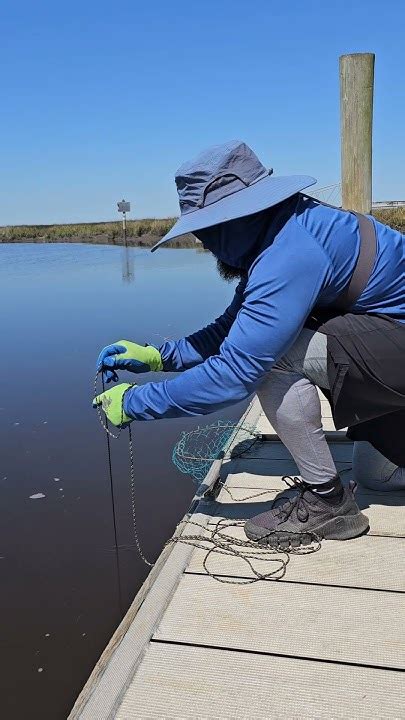 Catching Blue Crabs Chicken On A String Method Easy Youtube