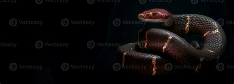 Bright snake banner. Generate Ai 30811881 Stock Photo at Vecteezy