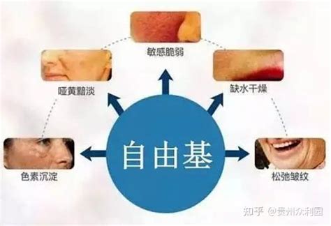 什么是自由基 它到底是怎么对人体产生伤害的如何抵抗 知乎