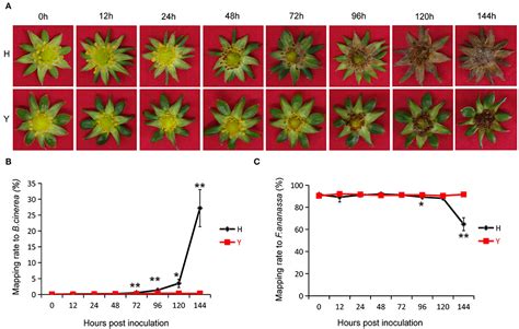 Frontiers Deciphering The Molecular Signatures Associated With