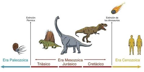 Que Son Las Eras Geologicas Brainly Lat