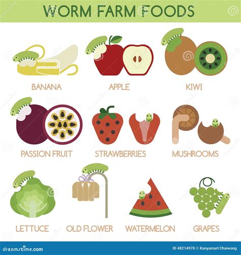 Worm farm foods stock vector. Illustration of health - 48214970