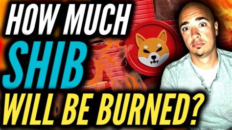 How Much SHIBA INU Will Be Burned Once SHIBARIUM Is Running YouTube