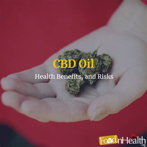 7 Cbd Oil Uses Health Benefits And Risks Food N Health